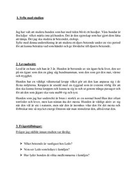 Djurstudie: Hunden