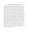 English Essay on Brian Moore’s Lies of Silence
