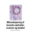 Mikroskopering av levande spermier, ovarium och testis