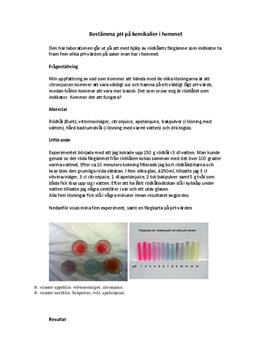 pH-värde på kemikalier i hemmet - Labbrapport i Kemi A