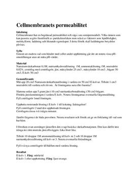Labbrapport: Cellmembranets Permeabilitet - Biologi