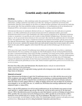 Labbrapport: Genetisk analys med gelelektrofores