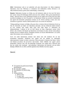 Odla bakterier | Labbrapport i Biologi 2