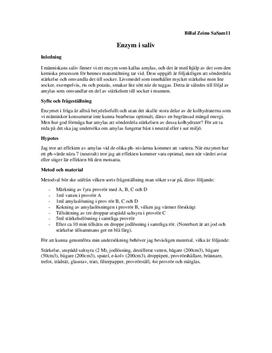 Enzymet amylas i saliv | Sönderdela stärkelse | Labbrapport | Naturkunskap 1b