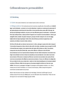 Permeabilitet i cellmembran | Rödbeta | Labbrapport i Biologi 2