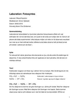 Ljusnivåer och Fotosyntes | Labbrapport | Biologi 1