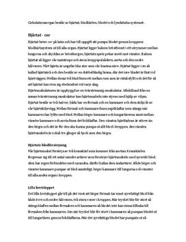 Cirkulationsorganen | Sammanfattning