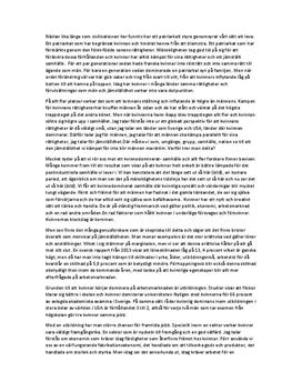 Jämställdhet - kvinnors inflytande större än mäns | Argumenterande tal