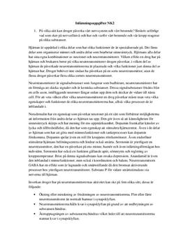 Neurologi: Hjärnan och nervsystemet | Frågor och svar