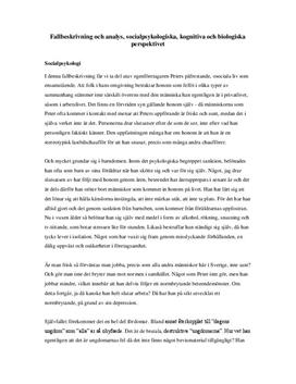 Fallbeskrivning | Kognitiva, socialpsykologiska och biologiska perspektivet | Analys