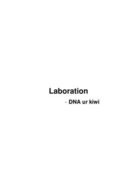 Laboration - DNA ur kiwi
