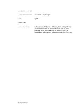 Kraft och rörelse: Tavlan och konjakskupan | Labbrapport