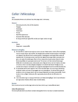 Celler i mikroskop: Cellers delar och strukturer | Labbrapport