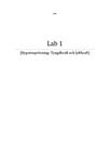 Labbrapport: Tyngdkraft och lyftkraft - Fysik A