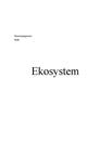 Ekosystem - Lövskog och barrskog | Fördjupningsarbete Ekosystem - Lövskog och barrskog | Fördjupningsarbete