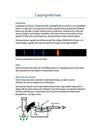 Undersökning av linjespektrum med gitterspektroskop | Labbrapport