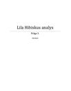 Lila hibiskus | Bokanalys