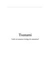 Tsunamin och dess fara för människor | Fördjupningsarbete