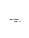 Laboration - DNA ur kiwi