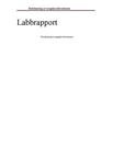 Labbrapport: Två sätt att bestämma tyngdacceleration