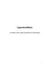 Rapport: Cypernkonflikten | Orsaker | Konsekvenser | Lösningar