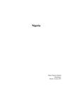 Nigeria | Konfliktanalys
